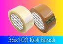 36x100 Koli Bandı