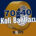 70x40 Koli Bantları Solin Ambalaj Perpa
