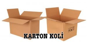 Kutu Koli