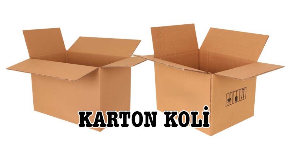 Kutu Koli