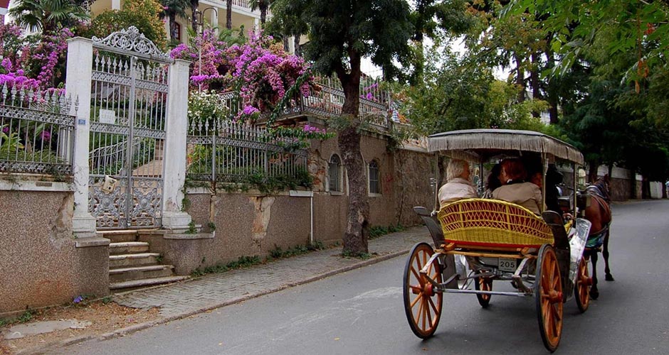 Baskılı Poşet Adalar