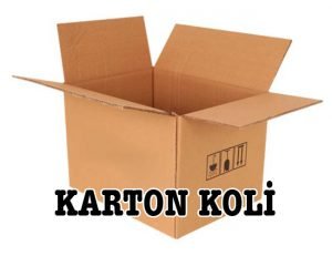 Kutu Koli Çeşitleri